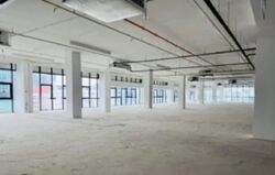 Bendemeer Road (D12), Factory #618742301